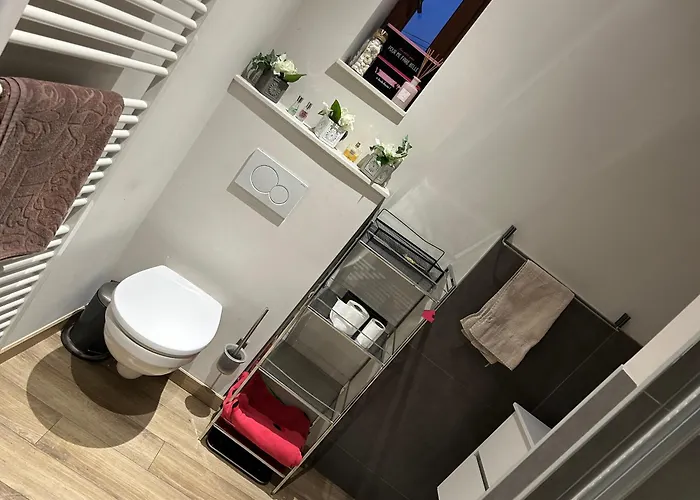 B&B Sucre Sale 보랭